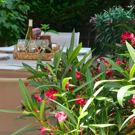 Les Coccinelles - 200 Metres De La Tatil Evi *