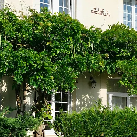 Les Coccinelles - 200 Metres De La Tatil Evi